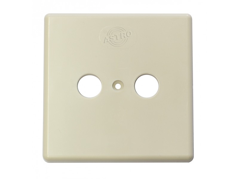 Product: GUZ 40, Cover plate for 2 connector wall outlet 