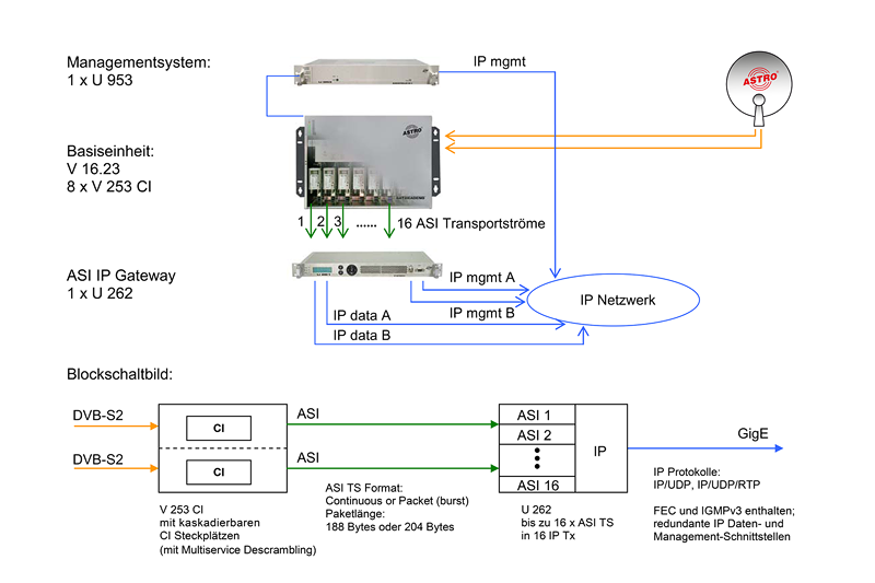 Conversion of satellite signals into IP multicast groups